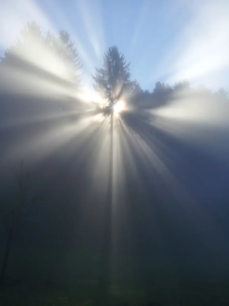 Découvrez cette scène captivante : le soleil perçant à travers les arbres, ses rayons expansifs nous guidant vers son centre lumineux. Une invitation visuelle à se diriger vers la source éclatante, symbolisant un voyage vers la clarté et l'illumination intérieure