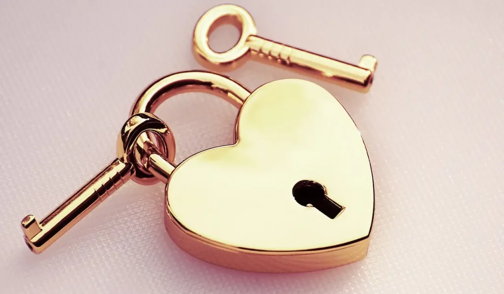 Cette image symbolise la transformation du schéma de carence affective. Un cadenas en forme de cœur représente les barrières émotionnelles qui peuvent entraver nos relations et notre épanouissement. Une clé est attachée au cadenas, illustrant les efforts pour déverrouiller ces barrières et accéder à une perspective de changement. La deuxième clé, posée à côté, symbolise les ressources et le soutien disponibles pour nous aider dans ce processus de transformation. C'est une invitation à ouvrir notre cœur, à explorer nos émotions et à embrasser le changement pour une vie plus épanouie et authentique.