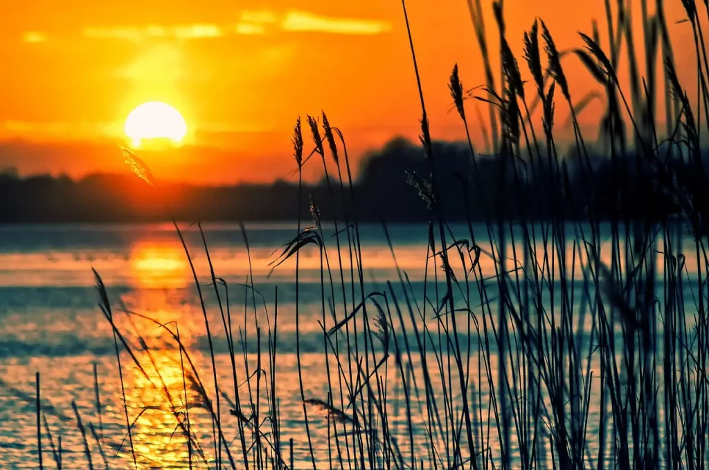 Dans le calme de l'aube, une nouvelle journée se lève, offrant la promesse d'émotions à découvrir et à comprendre. Chaque lever de soleil est une toile vierge où nous pouvons peindre nos expériences émotionnelles avec sagesse et gratitude.